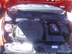 فولكسفاغن بيتل